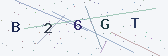 Güvenlik kodu